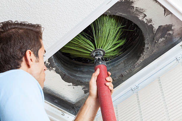 Best Air Duct Sanitizing Services  in Juneau, WI